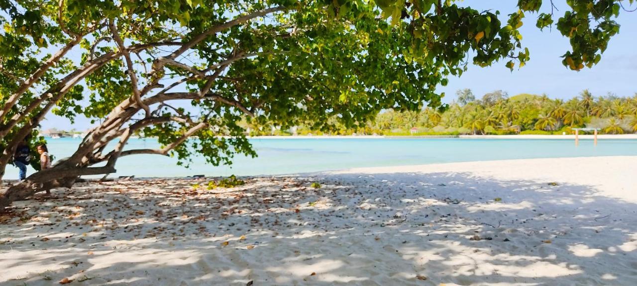 La Isla Tropica Hotel Guraidhoo  Exterior photo