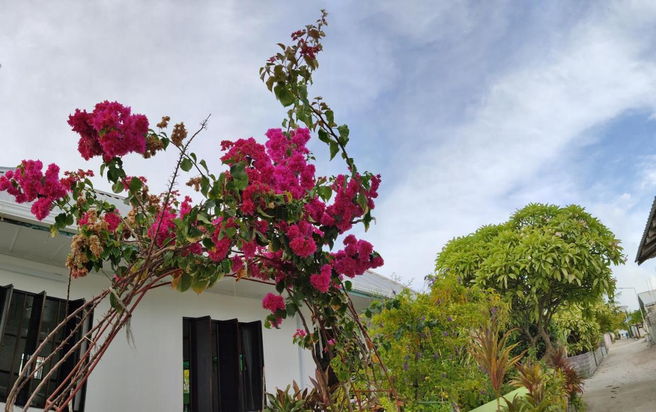 La Isla Tropica Hotel Guraidhoo  Exterior photo