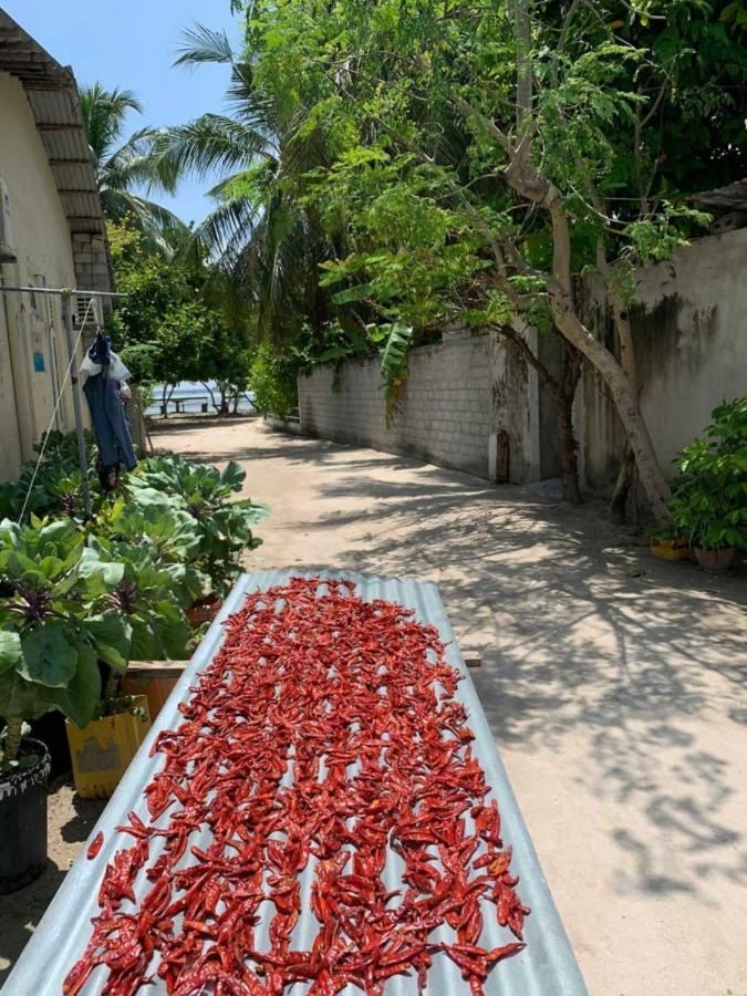 La Isla Tropica Hotel Guraidhoo  Exterior photo