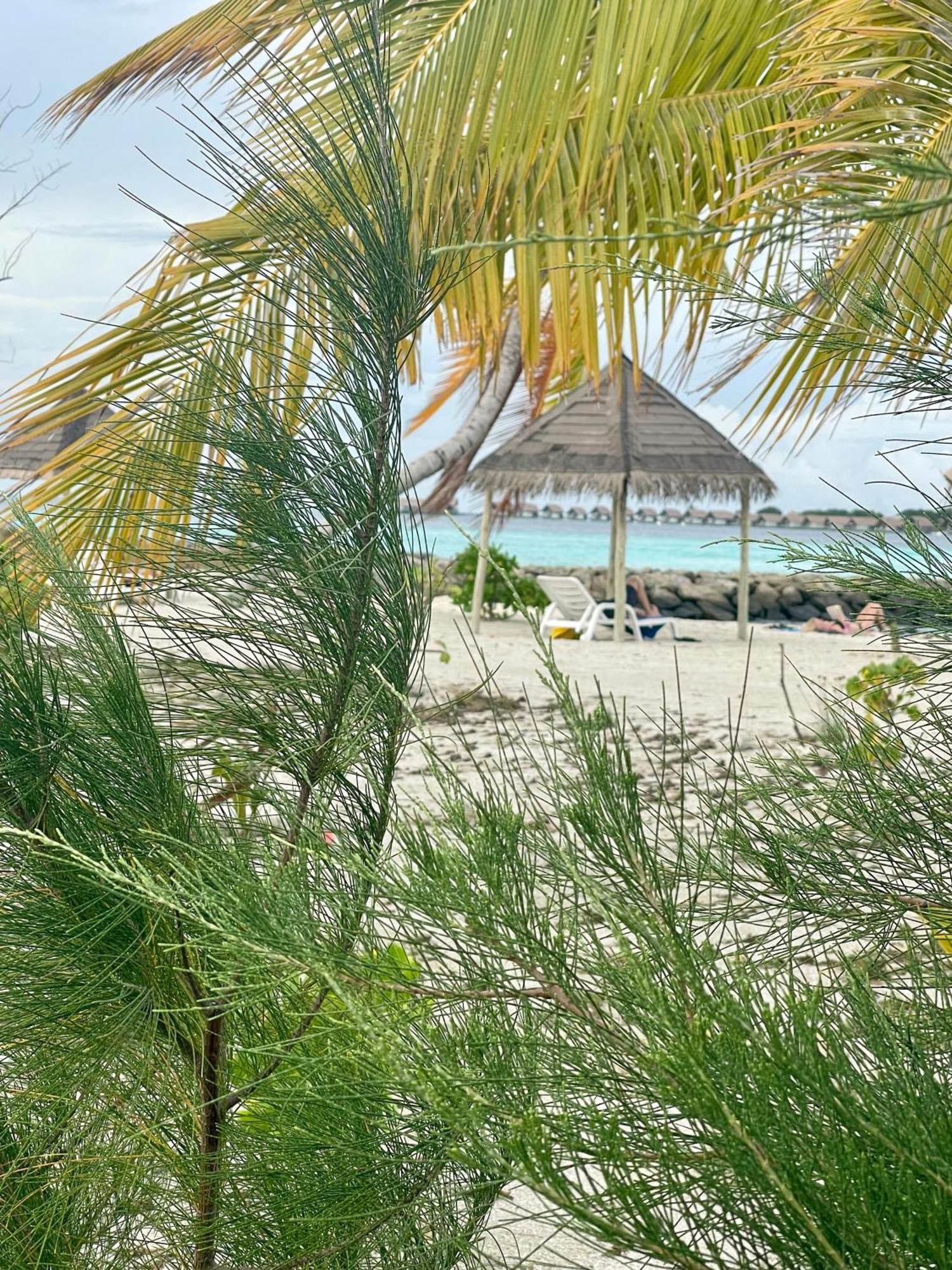 La Isla Tropica Hotel Guraidhoo  Exterior photo